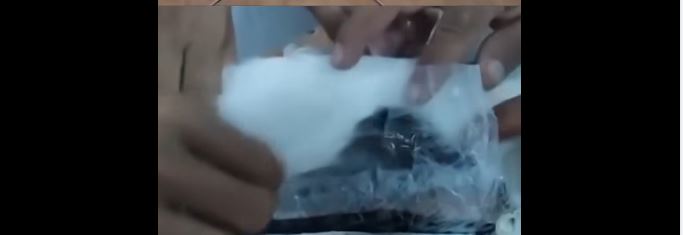 بالفيديو/ضبط قطة بصدد تهريب المخدرات الى المساجين!!